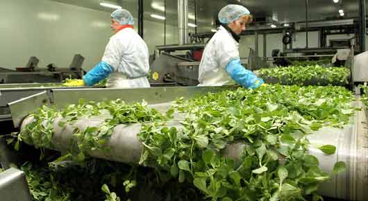 Concours BTS Agroalimentaire OPISE 2025 – Formez-vous aux Métiers des Industries Agroalimentaires
